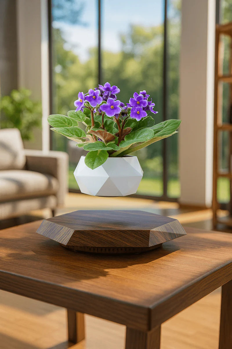 Levitating Bonsai Planter | أصيص بونساي معلق