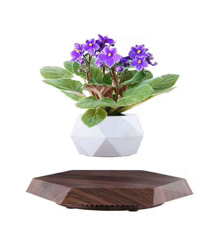 Levitating Bonsai Planter | أصيص بونساي معلق